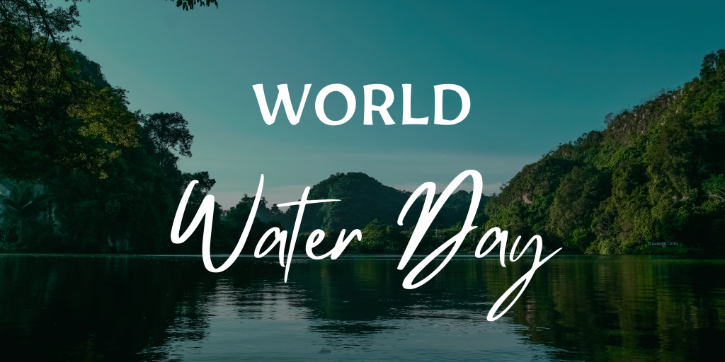 water Banner Landscape